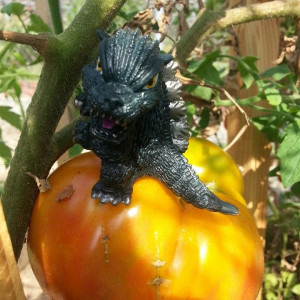 Tomatozilla!