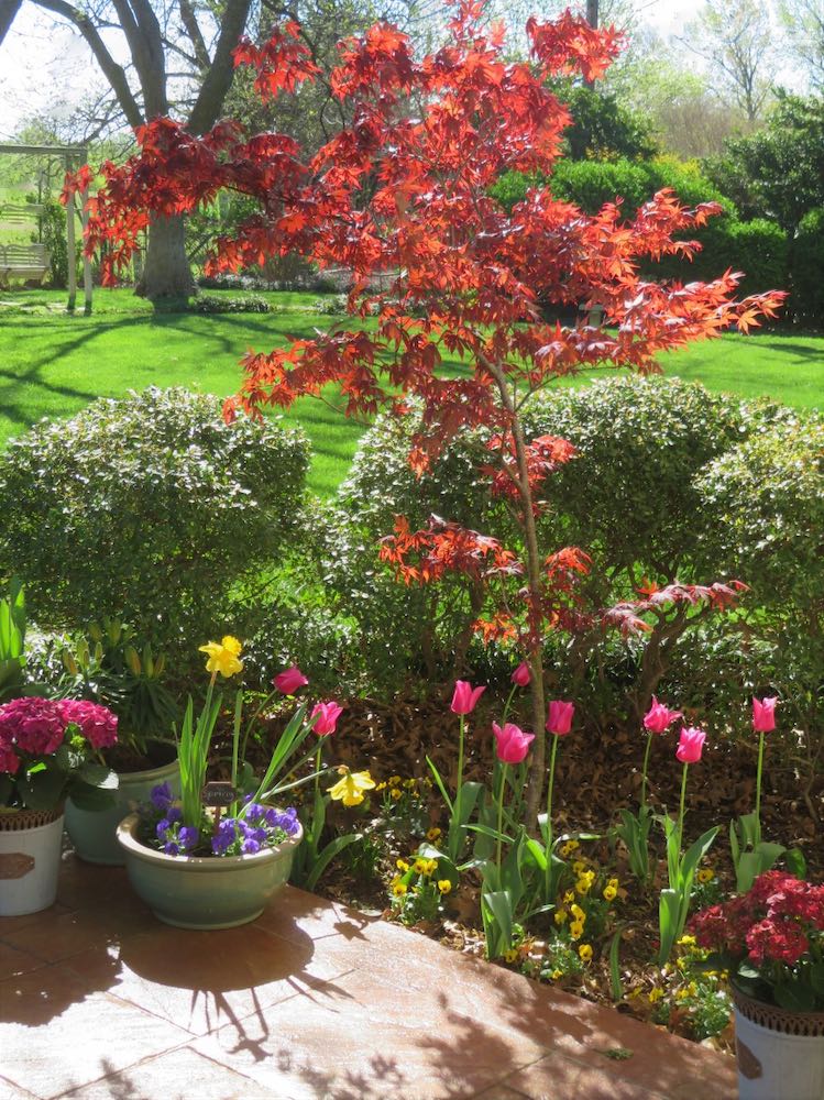 The garden is full of brightly-colored flowers