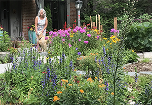 Dana in perennial garden. Walking the Talk in the Suburbs - A Midwest story of education, transformation, and inspiration