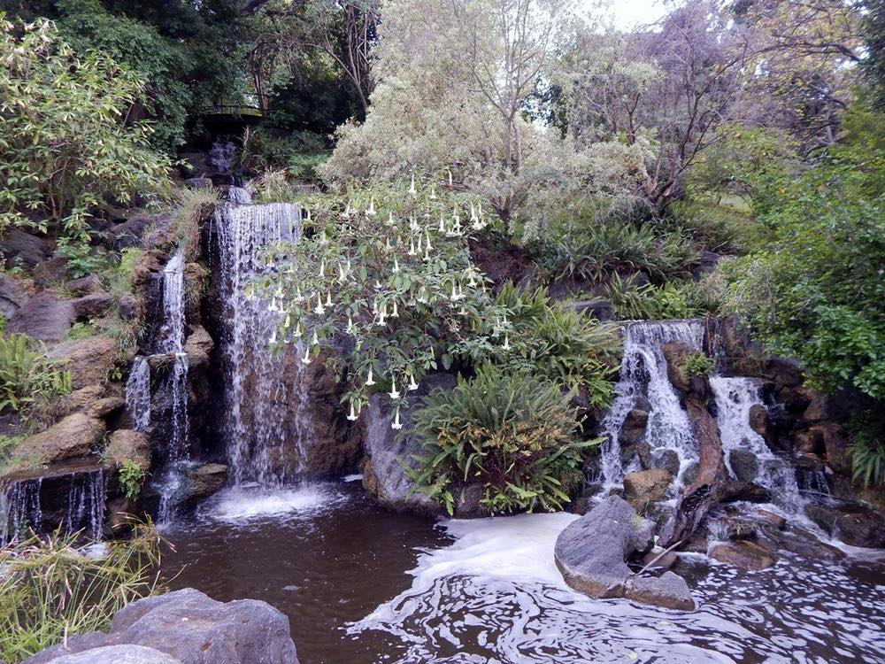 Los Angeles County Arboretum and Botanic Garden