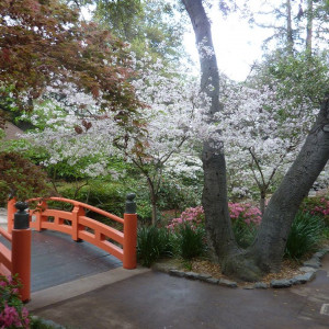 Descanso Gardens: A Peaceful Place