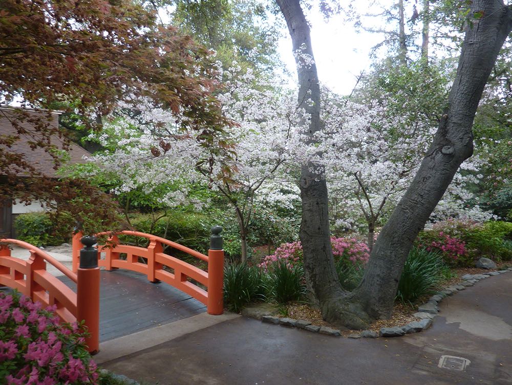 Descanso Gardens: A Peaceful Place