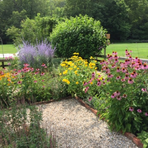 Lush flower beds attract pollinators at the Habitat for Pollinators