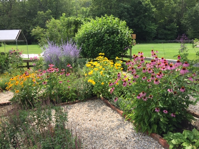 Lush flower beds attract pollinators at the Habitat for Pollinators