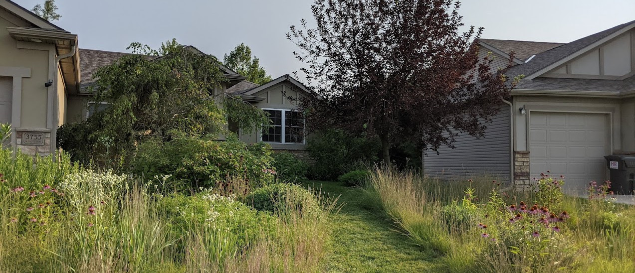 Suburban Prairie Garden