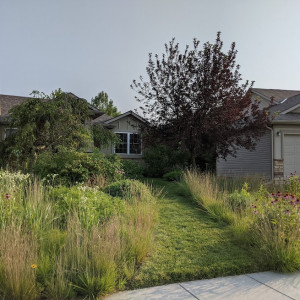 Suburban Prairie Garden