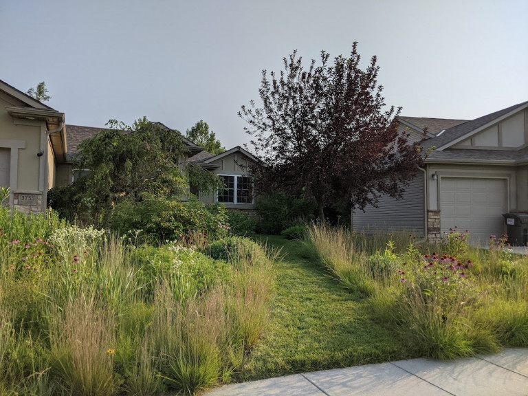 Suburban Prairie Garden