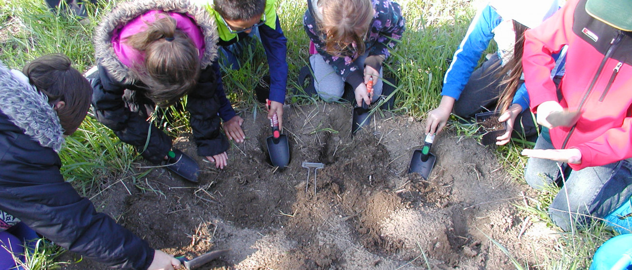 Students planting