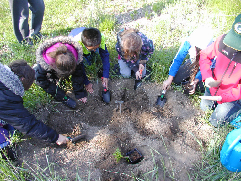 Students planting