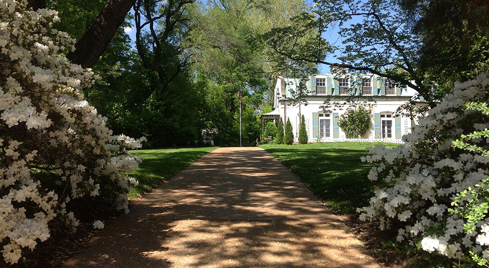 Mature azalea bushes flank the curb cut and driveway entrance and enhance the landscape screen between the road and the lawn.