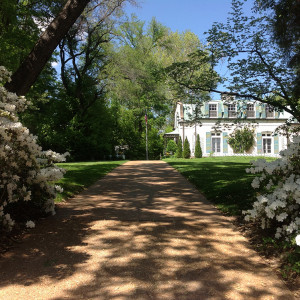 Mature azalea bushes flank the curb cut and driveway entrance and enhance the landscape screen between the road and the lawn.