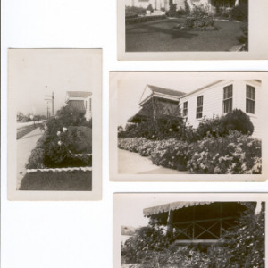 Mary Alice Toups Alost (Beatrice’s daughter) with her children Jeanne Beatrice Alost and Joe Alost III. Florida jasmine in the corner.  Climbing fern (Asparagus setaceus) on trellis; used with cut flowers and for table arrangements.