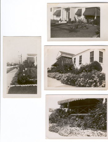 Mary Alice Toups Alost (Beatrice’s daughter) with her children Jeanne Beatrice Alost and Joe Alost III. Florida jasmine in the corner.  Climbing fern (Asparagus setaceus) on trellis; used with cut flowers and for table arrangements.