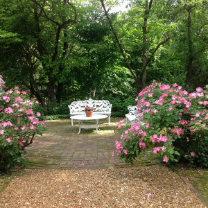 Ladue Ward III Garden