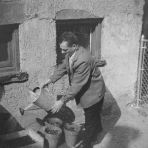 The stakes needed for the string beans; the outhouse built by my father, Francesco Pietanza, made of salvaged plywood.