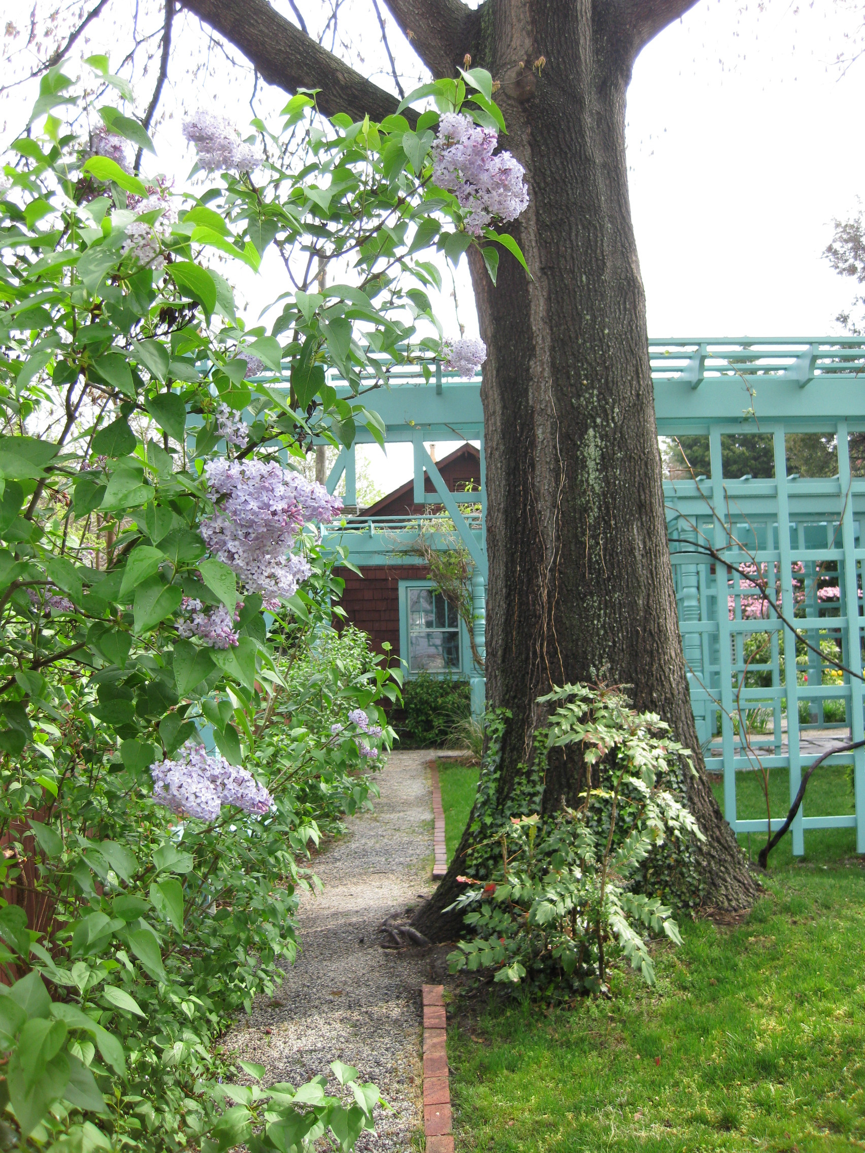 The Anne Spencer House and Garden Museum