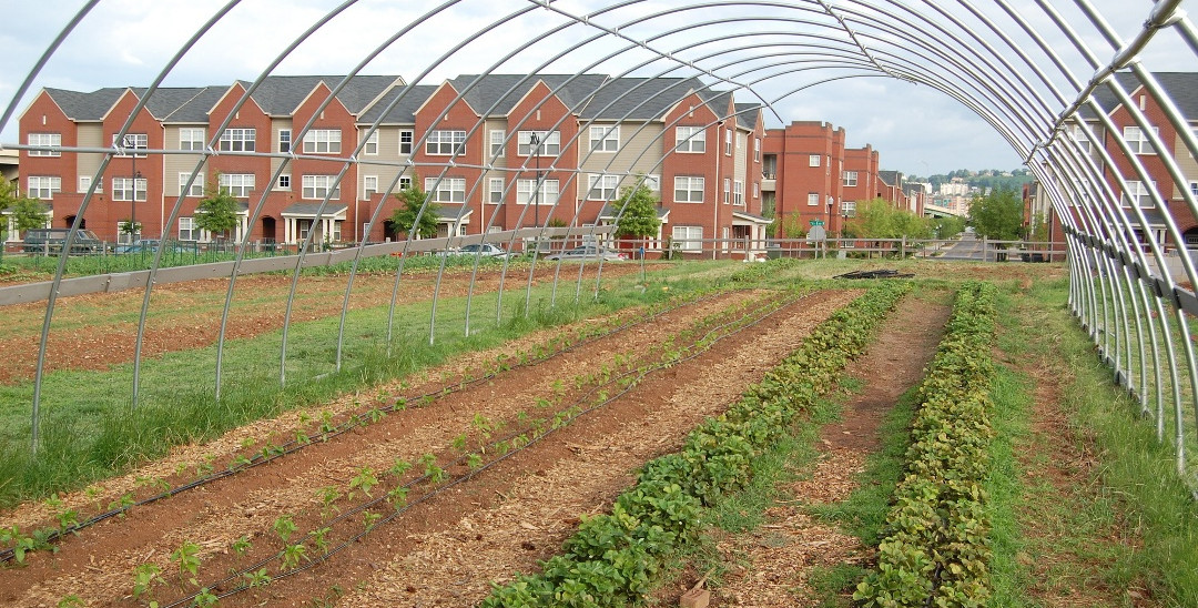 Hoop house