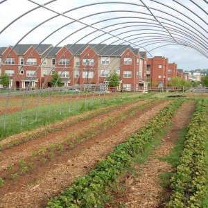 Hoop house