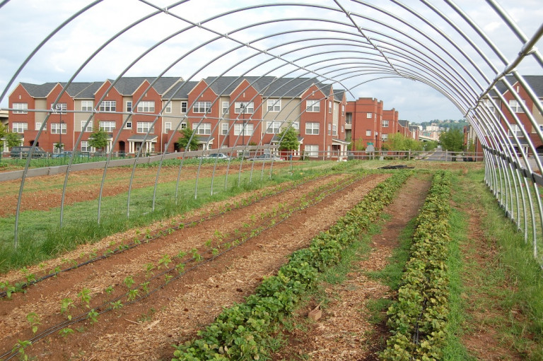 Hoop house