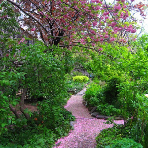 Liz Christy Community Garden