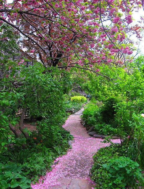 Liz Christy Community Garden