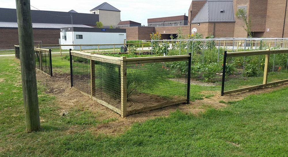 Thomas Jefferson Middle School school garden