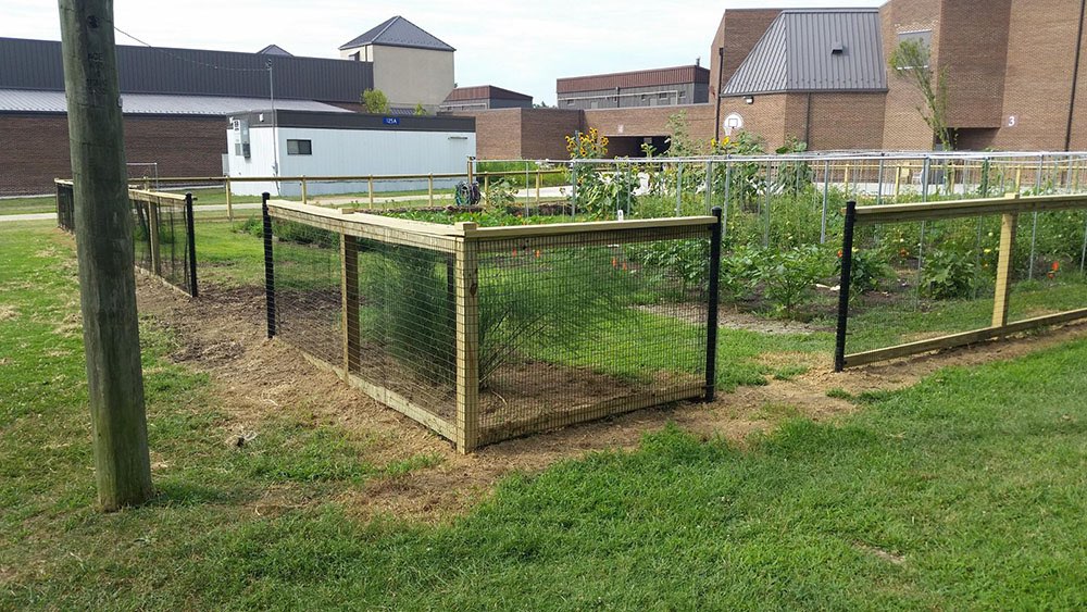 Thomas Jefferson Middle School school garden