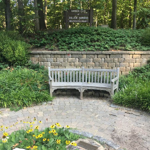 A relaxing bench in "The Hill"