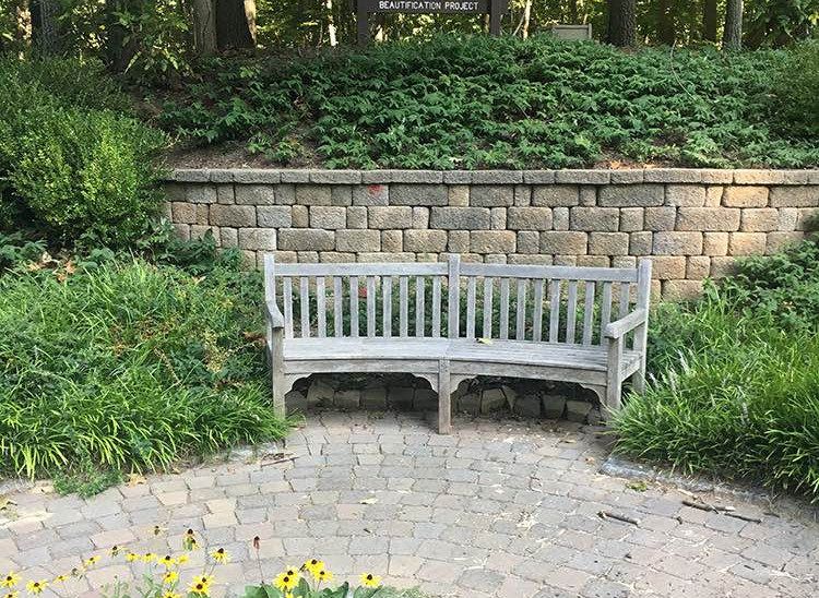 A relaxing bench in "The Hill"