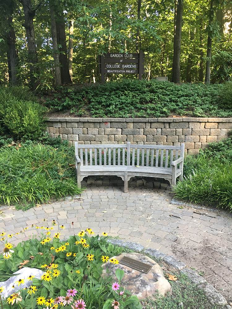 A relaxing bench in "The Hill"