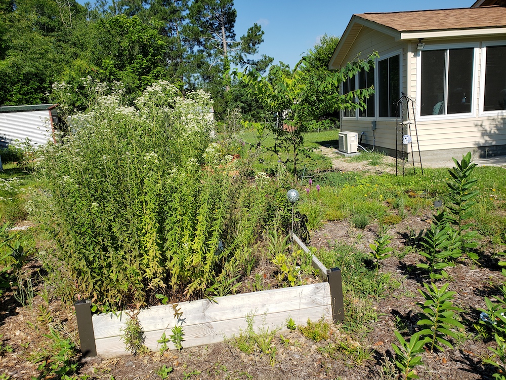 The removal of lawn made room for a haven for pollinators at The ShawneeSun Garden.