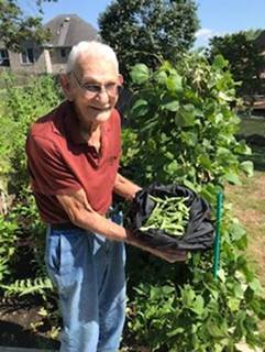 My 96-Year-Old Dad has a Green Thumb in West Virginia harvesting the garden.