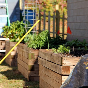 Fred A. Toomer Educational Garden