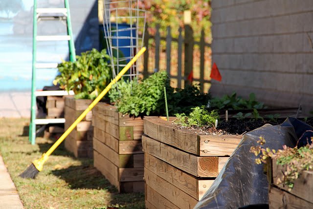 Fred A. Toomer Educational Garden