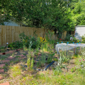 Raised beds at the The ShawneeSun Garden