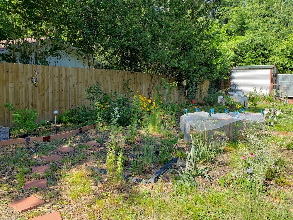 Raised beds at the The ShawneeSun Garden