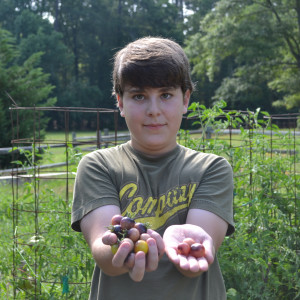 All of the fruits and vegetables are heirloom varieties available prior to 1930.