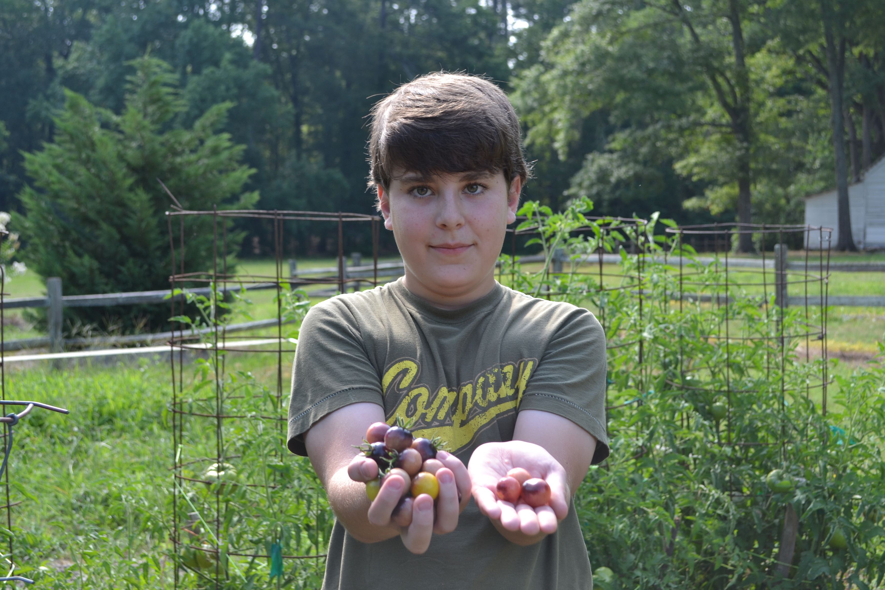 All of the fruits and vegetables are heirloom varieties available prior to 1930.