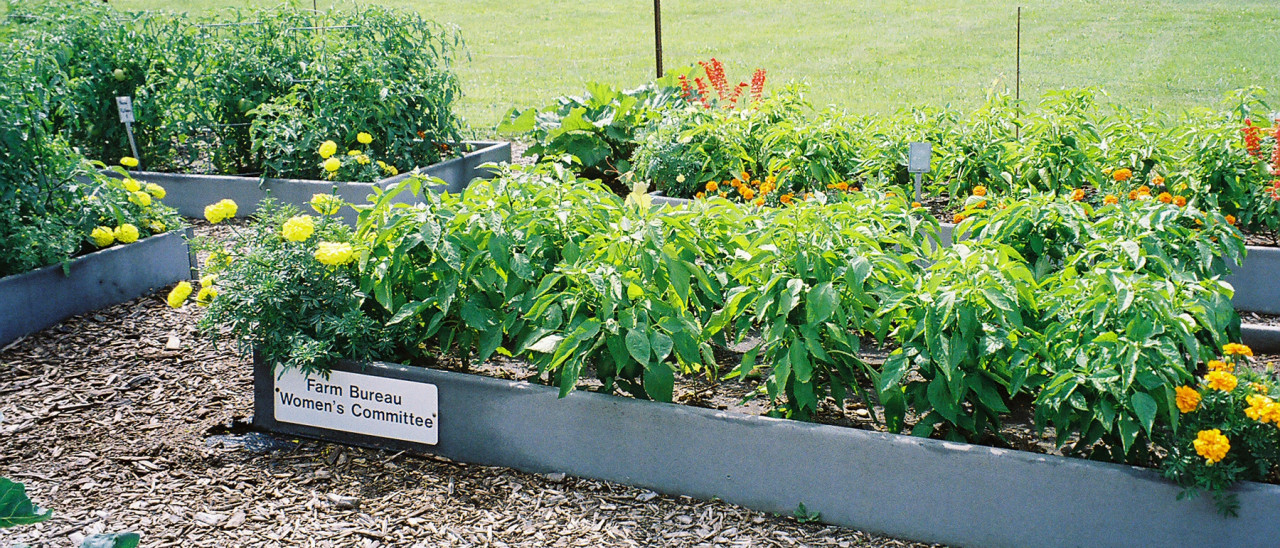 The Farm Bureau "Women's Committee" raised bed