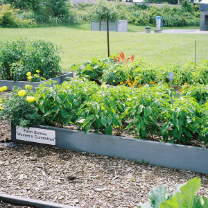 The Farm Bureau "Women's Committee" raised bed