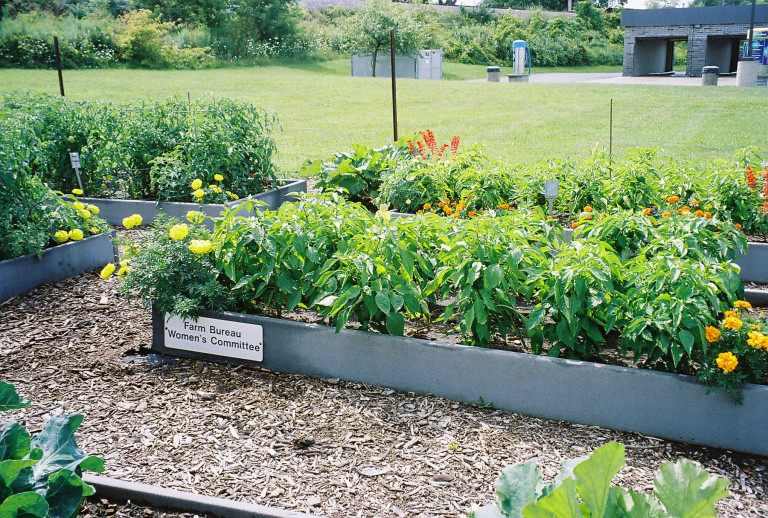 The Farm Bureau "Women's Committee" raised bed