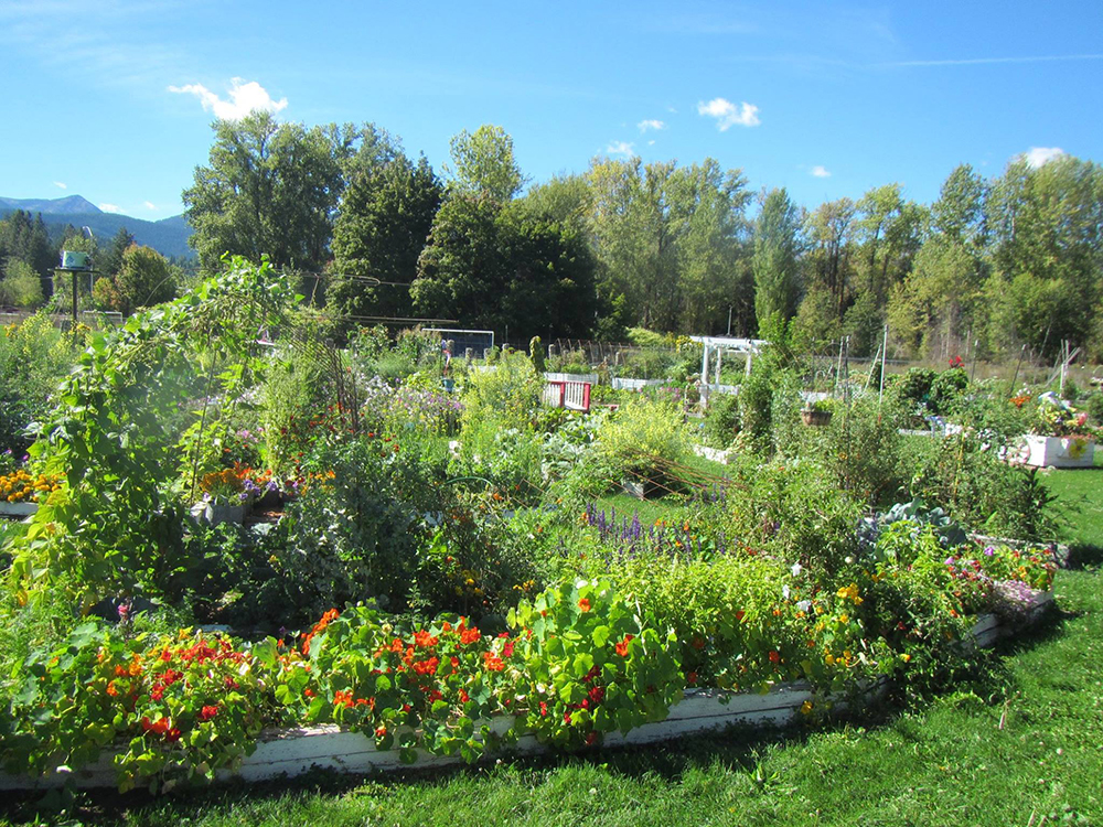 The garden strives to build community through special projects and events.