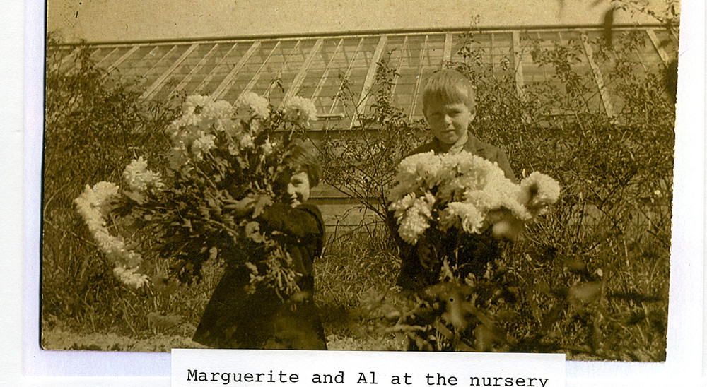 Rose Villa nursery greenhouses