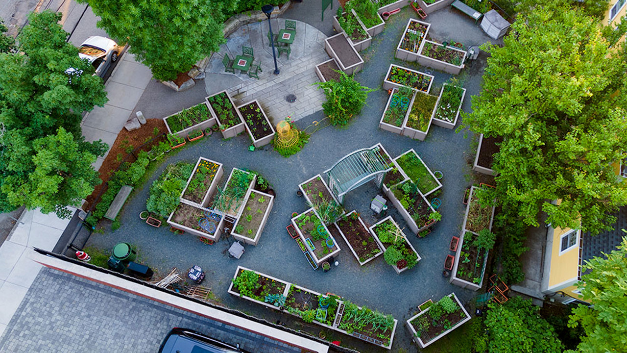 Hurley Street Park overview