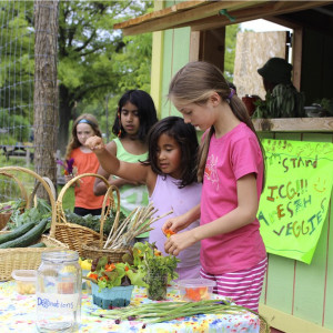 Ithaca Children's Garden