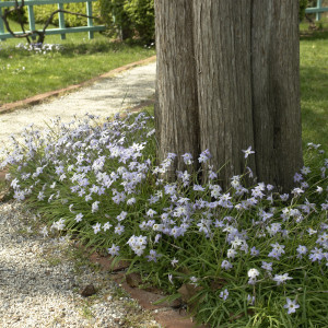 The Anne Spencer House and Garden Museum