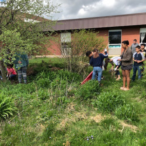 Ronan High School Native Plant Garden: A Space for Learning, Community, & Cultural Competency