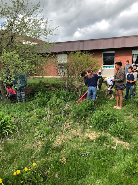 Ronan High School Native Plant Garden: A Space for Learning, Community, & Cultural Competency