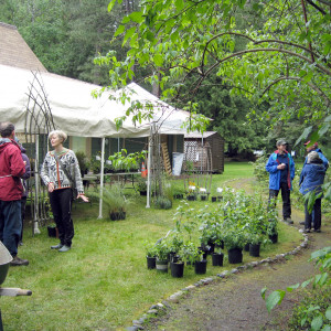 The North Idaho Native Plant Arboretum is managed by the Kinnikinnick Native Plant Society. The Arbor Day Plant Sale