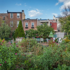 Bel Arbor Community Garden